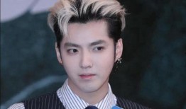 吴亦凡妈妈最新爆料消息,揭秘儿子事业低谷背后的真相