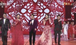 春晚演员爆料大全最新版,揭秘幕后故事与精彩瞬间