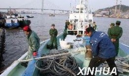 边境偷渡最新爆料,最新爆料揭露惊心动魄的偷渡真相