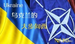 乌克兰最新局势热点爆料,最新热点爆料揭示战事进展与影响