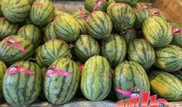 南京大瓜爆料视频最新,视频揭秘惊人内幕