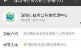 深圳的张先生最新爆料,揭秘某事件背后惊人真相！