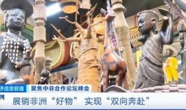 非洲中非班吉最新爆料,非洲中非班吉突发重大事件，揭秘背后真相！”