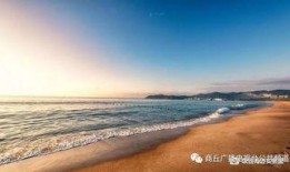 海南赶海爆料网站官网最新,最新爆料网站官网独家解读